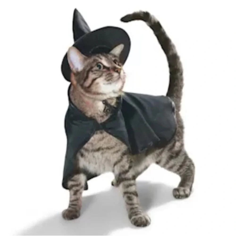 NWT Cat Witch Halloween costume XS​
